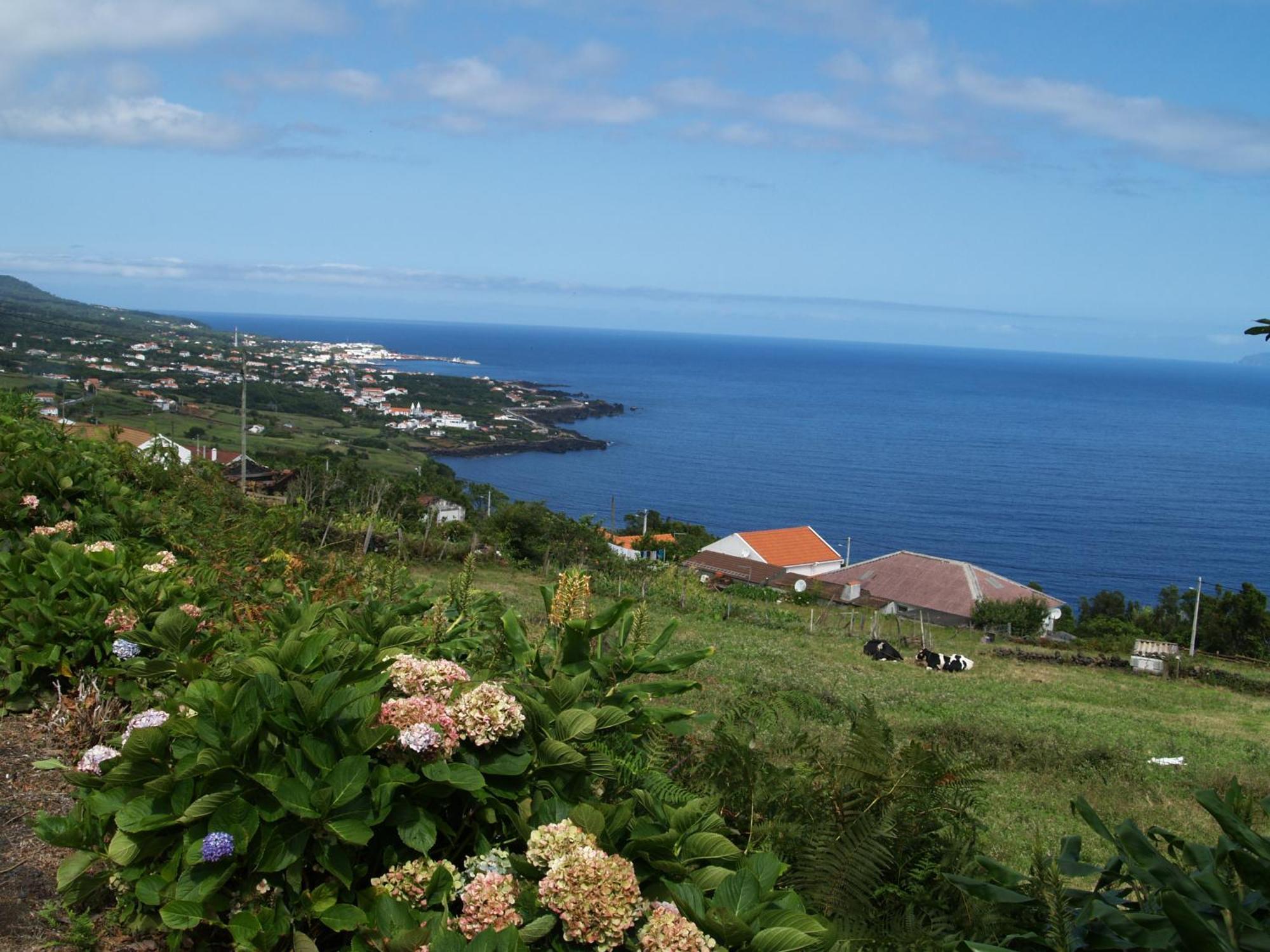 Casa Do Comendador São Roque do Pico Εξωτερικό φωτογραφία