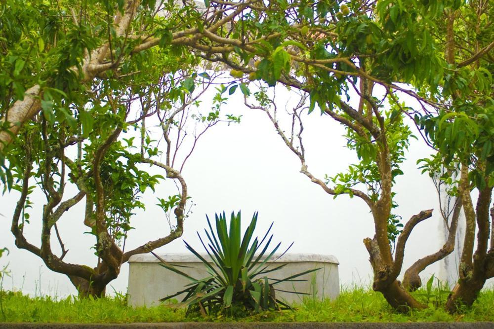 Casa Do Comendador São Roque do Pico Εξωτερικό φωτογραφία